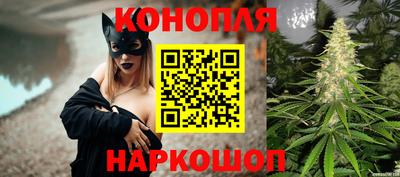 дмт Краснодар